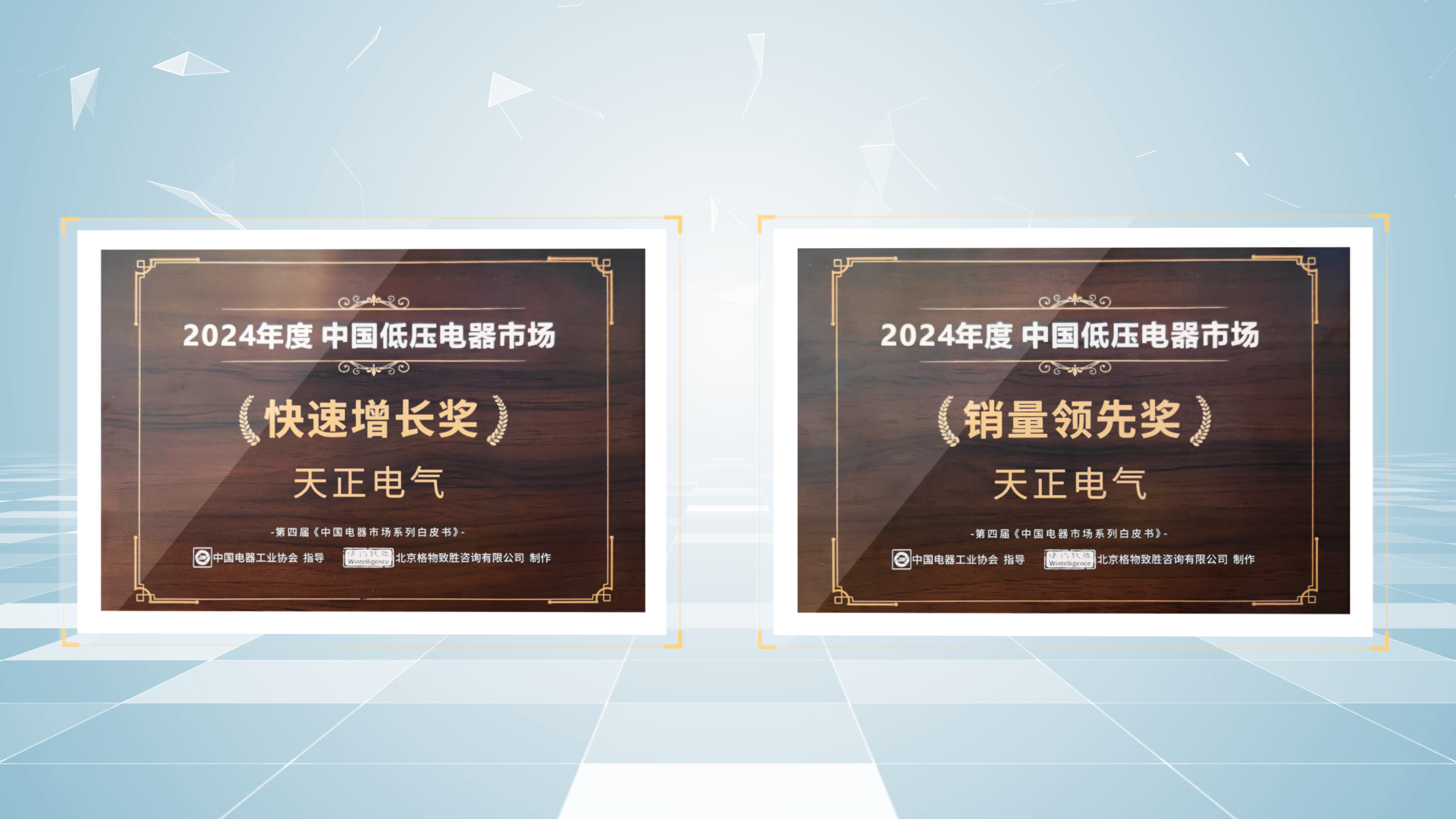 销量领先、快速增长丨ng28电子游戏官网入口荣膺2项行业年度大奖